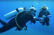 Scuba Diving & Snorkeling Trip in Khorfakkan & Fujairah 