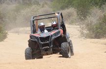 Cabo Adventure: Can-Am X3 Ride & Camel Beach Tou