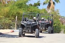 Candelaria Beach and Desert UTV Adventure