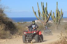 Beach and Desert 4x4 ATV Tour
