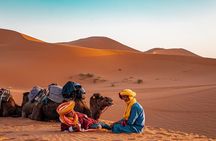 4 Days Private Tour To Marrakech From Tangier