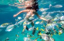 Snorkel at Pelican´s Beach Cabo San Lucas - Classic
