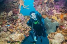 Marmaris Full Day Scuba Diving Two Dives With Lunch Hotel pickup