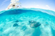 3-stop Adventure: Stingray City and snorkeling at Cayman Reefs