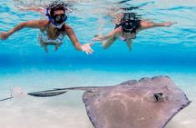3-stop Adventure: Stingray City and snorkeling at Cayman Reefs