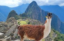 Shared 1 Day Machu Picchu Tour from Cusco
