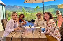 Wine Tasting Tour ONLY for Cruise Ship Visitors. ALL INCLUSIVE!