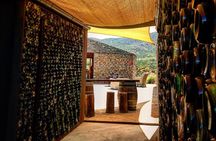 Wine Tasting Tour ONLY for Cruise Ship Visitors. ALL INCLUSIVE!