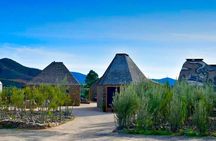 Wine Tasting Tour ONLY for Cruise Ship Visitors. ALL INCLUSIVE!