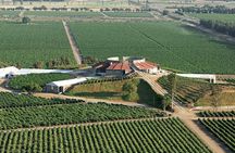 Old Wine Route Tour Experience at Baja California. ALL INCLUSIVE!