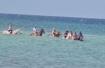 Private Transport to Horseback & ATV with Extra Stops(Ricks Café)