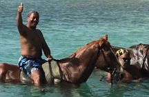 Private Transport to Horseback & ATV with Extra Stops(Ricks Café)
