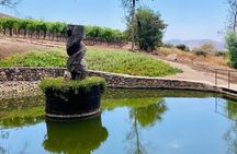 Old Wine Route Tour Experience at Baja California. ALL INCLUSIVE!