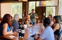 Old Wine Route Tour Experience at Baja California. ALL INCLUSIVE!
