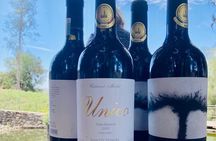 Old Wine Route Tour Experience at Baja California. ALL INCLUSIVE!