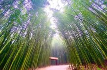 Private Car and Tour Guide Exploring Northern Vietnam 