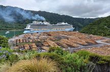 Marlborough Wine Tour - Picton Discovery Cruise Ship Tour