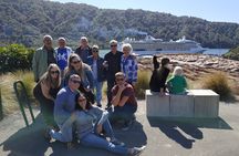 Marlborough Wine Tour - Picton Discovery Cruise Ship Tour