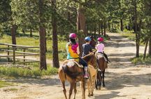 Horse Riding Tour in Marmaris