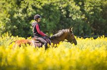 Horse Riding Tour in Marmaris