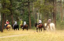 Horse Riding Tour in Marmaris