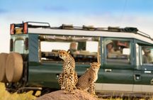 3-Day fly in Private Safari in Serengeti and Ngorongoro