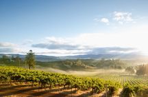From San Francisco: Napa & Sonoma Valley Wine Tour with Tastings