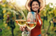 San Francisco: Napa & Sonoma Wine Tour & 24hr Hop-on Hop-off Tour