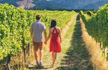 San Francisco: Napa & Sonoma Wine Tour & 24hr Hop-on Hop-off Tour