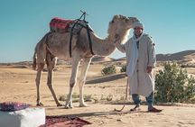 Overnight Camel trekking in Merzouga