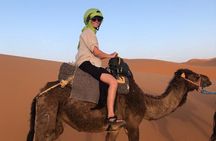 Experience 8-Day and 7-Night Tour in Morocco 