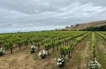 From San Francisco: Napa & Sonoma Valley Wine Tour with Tastings