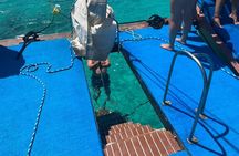 Adults Only Aruba Catalina Bay Small-Group Snorkel Sunset Sail