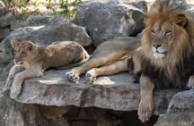 Skip-the-line Hellabrunn Zoo in Munich with Transfers