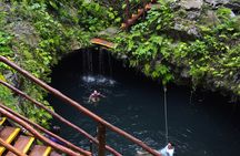 Discover 3 amazing cenotes. Includes transport & snack