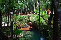 Discover 3 amazing cenotes. Includes transport & snack