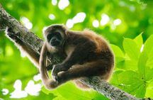 Full Day Private Churute Mangroves Reserve and Cocoa Farm Tour