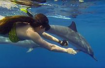 Mnemba Island Snorkeling and Swimming with Dolphin Full Day Trip