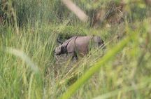  One Day Tour inside Chitwan National Park
