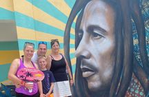 Private Tour in Bob Marley 9 Miles and Luminous Lagoon in Jamaica