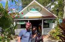 Private Tour in Bob Marley 9 Miles and Luminous Lagoon in Jamaica