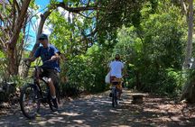 1/2 Circle Island & North Shore Fun with The Surf Bus 