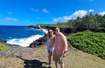 Mauritius full day : Unique South tour