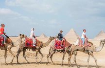 Top Tour Giza Pyramids ,Sphinx ,camel ride and ATV safari