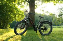 3-Hour Electric Fat Bike Rental