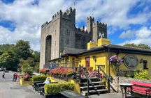 Cliffs of Moher and Bunratty Castle – Private Day Tour from Cork