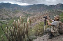 Plants and Habitats in the Elbow of the Andes
