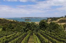2.5 Hours Wine Tour in Waiheke Island for Cruise Ship Travelers