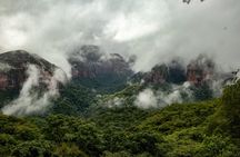 Plants and Habitats in the Elbow of the Andes