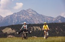 E-Bike Safari Eco Tour